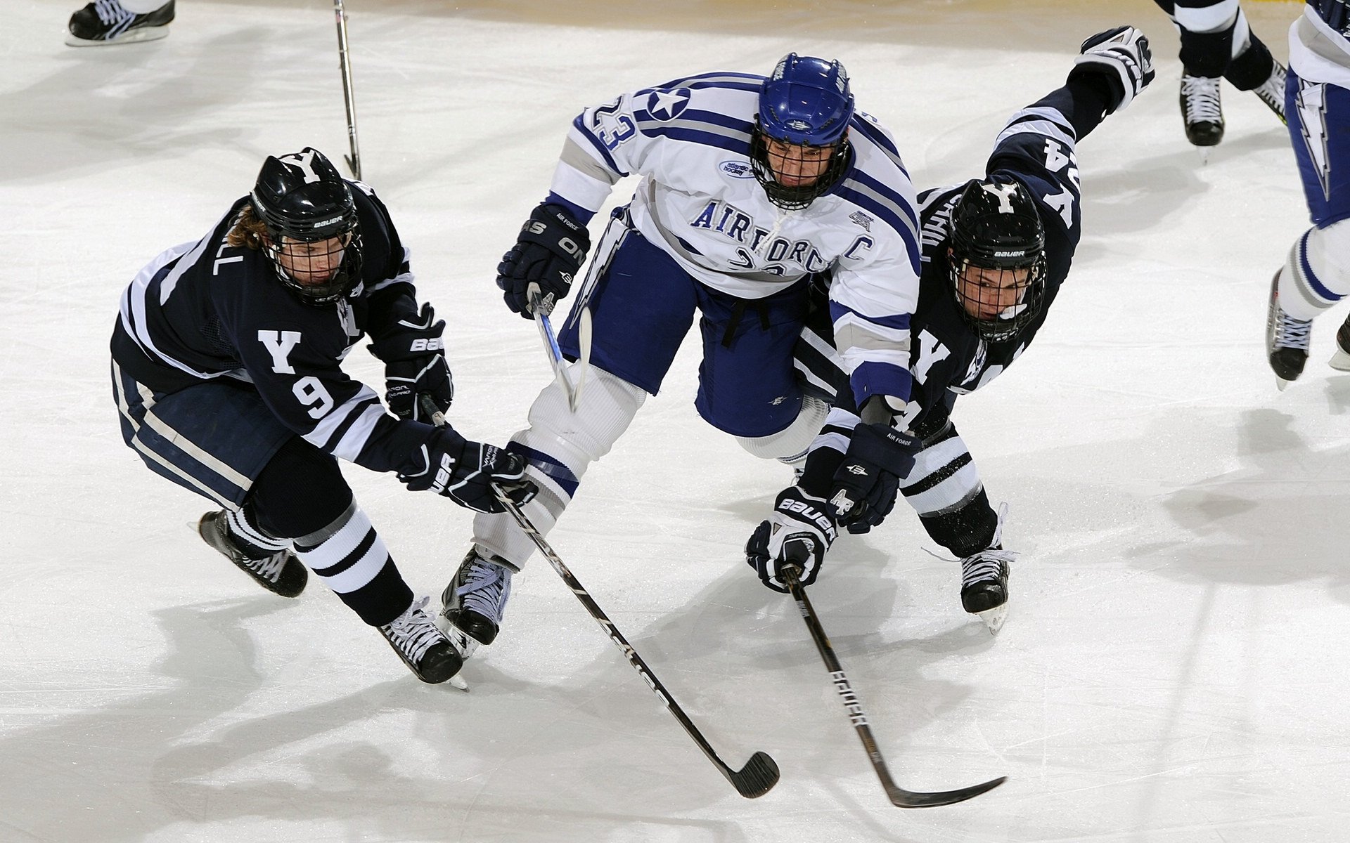 _极限自由式滑雪赛：速度、技巧与视觉盛宴_，自由式滑雪赛事介绍