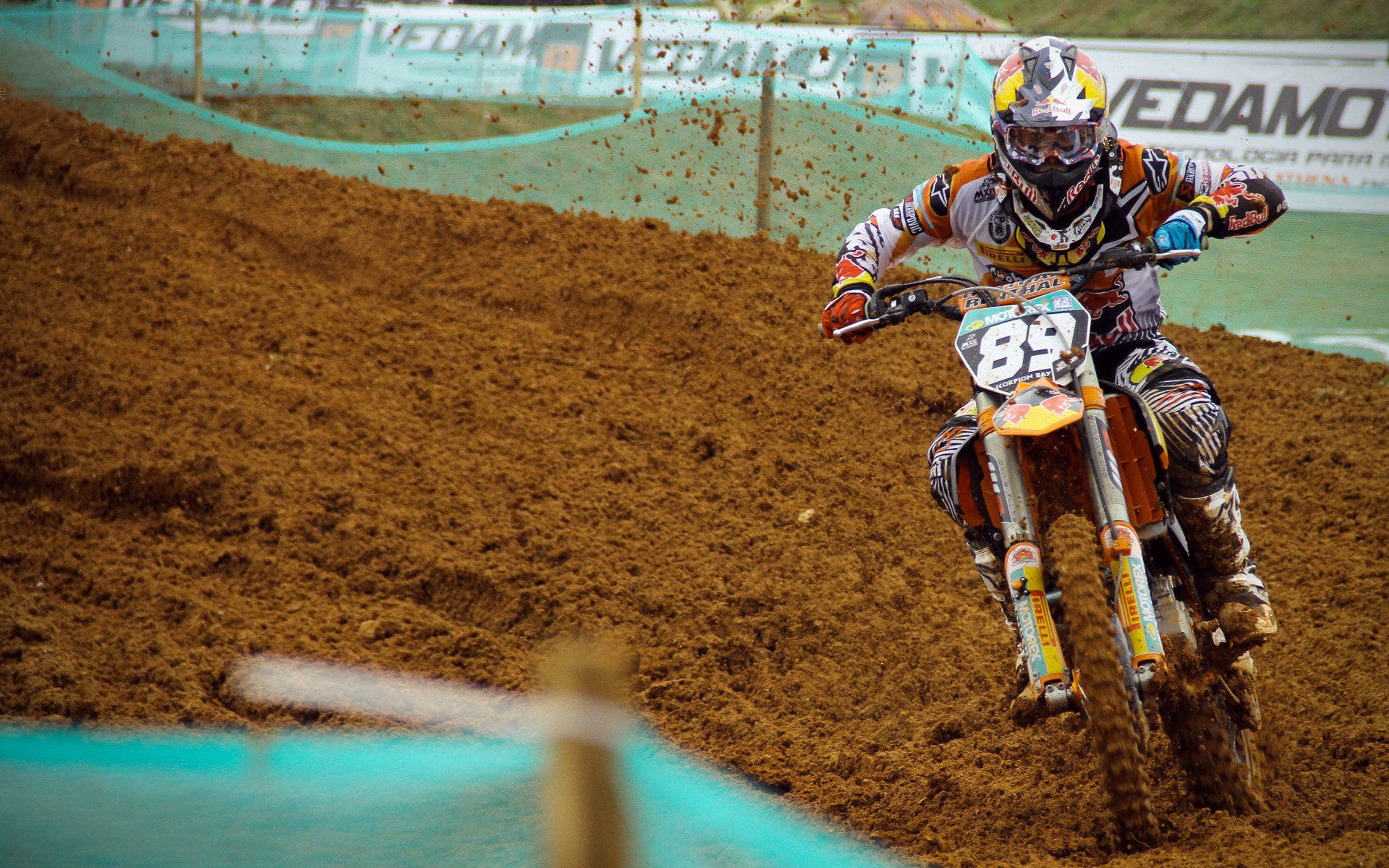 九游娱乐官网 (jiuyou)-“美洲狮队在橄榄球冠军锦标赛中的关键胜利”